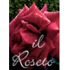 logo Il Roseto d'Ischia