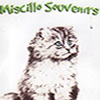logo Miscillo Souvenirs