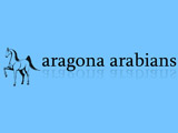 logo Maneggio Aragona Arabians
