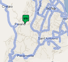 Mappa della pineta di Fiaiano