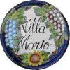logo Hotel Villa Mario